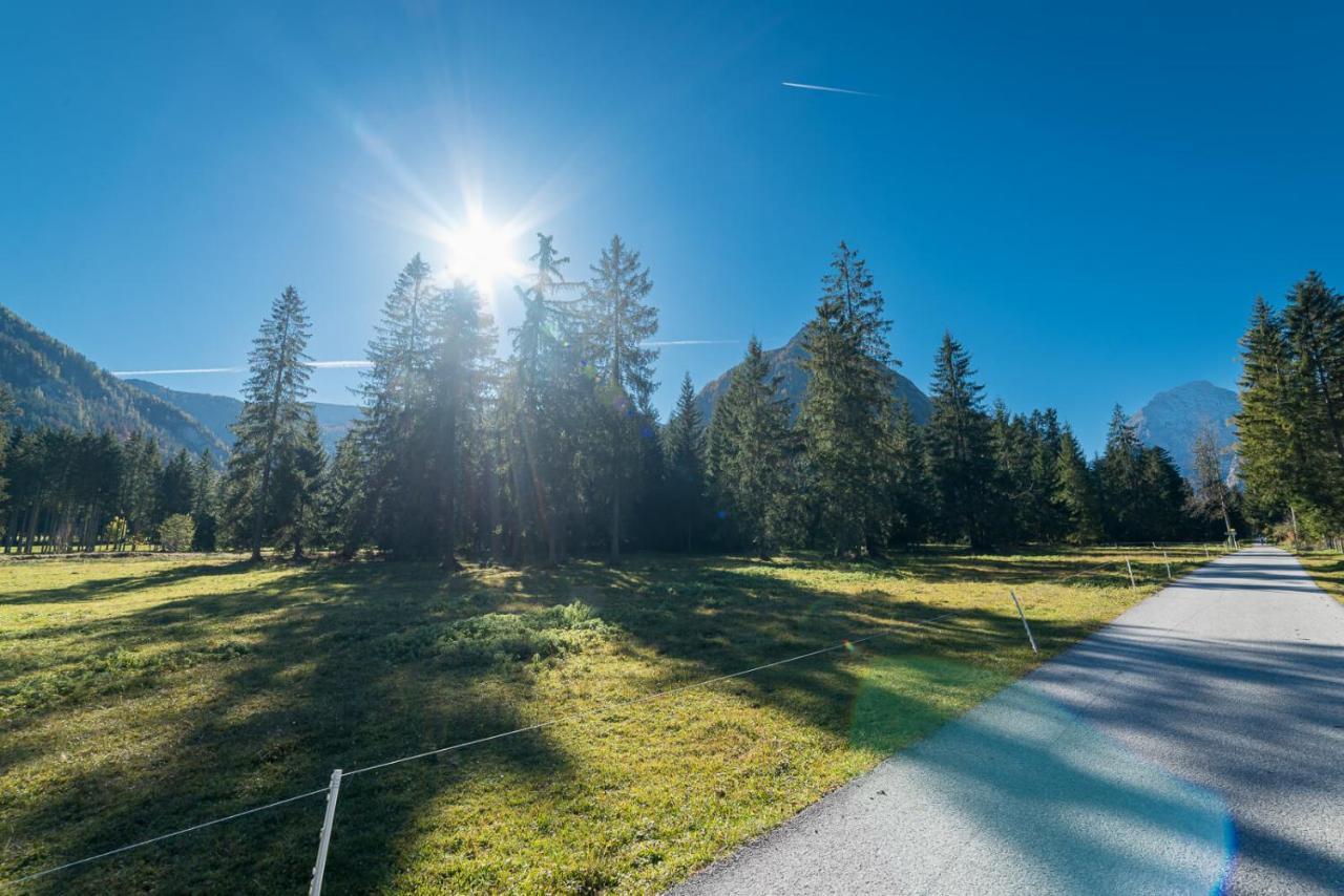 Apartament Alpen-lounge 17 *