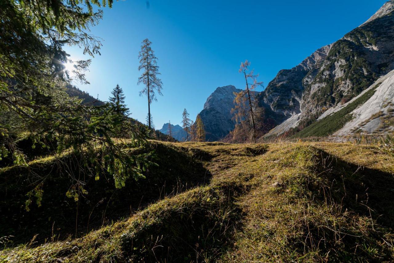 Alpen-lounge 17